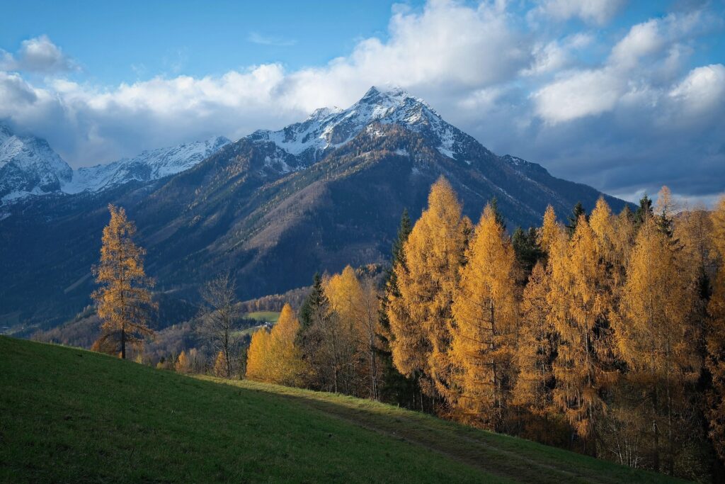 Herbstliches Landschaftsbild mit Berg im Hintergrund